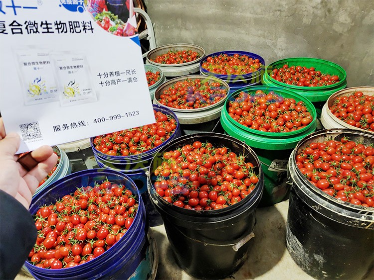 夫沃施進(jìn)口肥怎么樣？