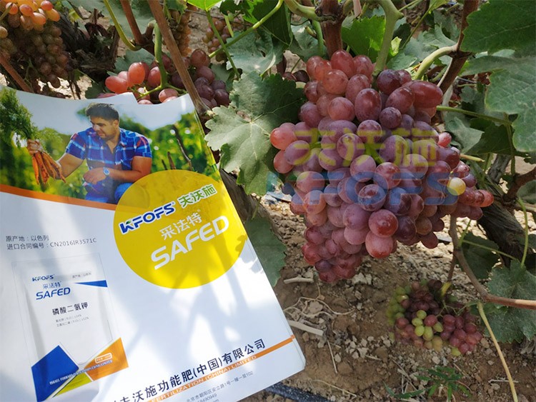 磷酸二氫鉀為什么都說粉劑的好？