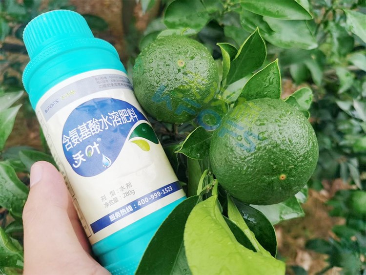 柑橘膨果轉(zhuǎn)色期用什么水溶肥好？