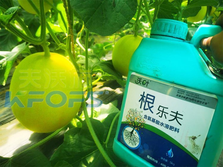 甜瓜用哪個水溶肥廠家的產(chǎn)品好？