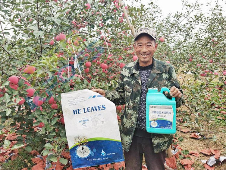 蘋果樹用什么生根肥好？看看這款！