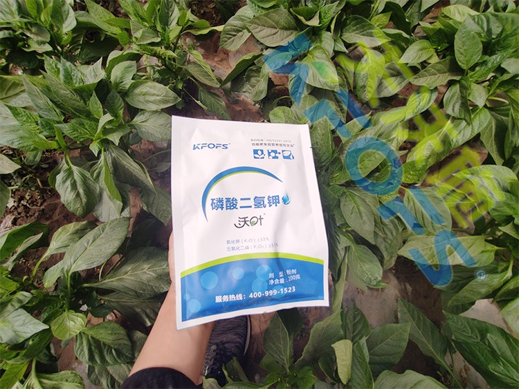 磷酸二氫鉀廠家，這家不要錯(cuò)過(guò)！