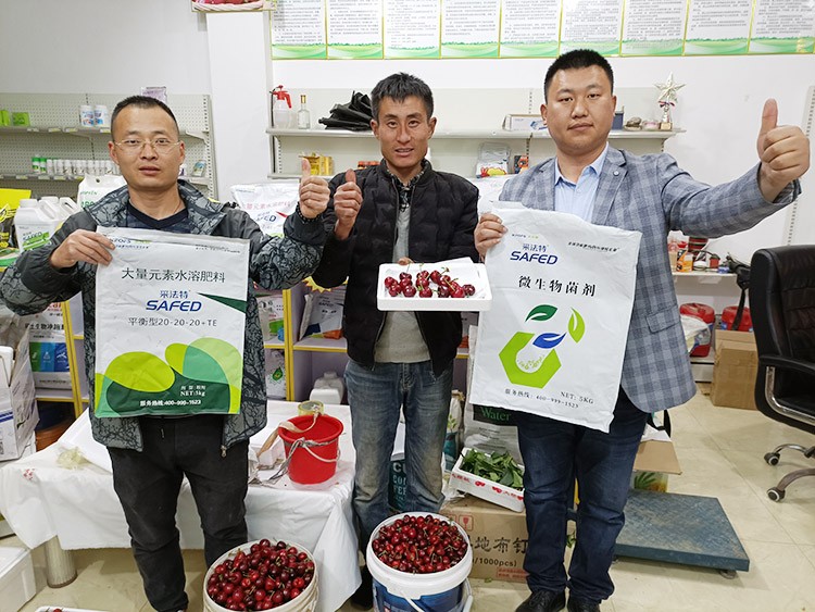 水溶肥哪家好？看完這篇不疑惑！