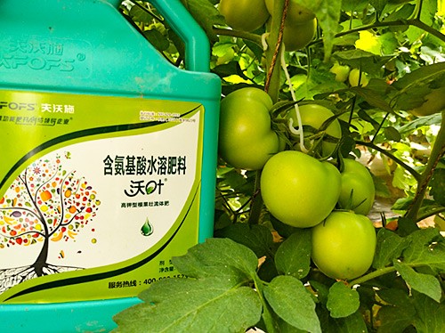 蔬菜沖施肥哪個品牌好？經(jīng)驗實談