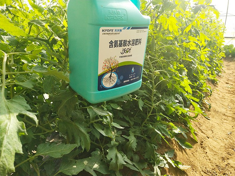 蔬菜沖施肥哪個品牌好？經(jīng)驗實談