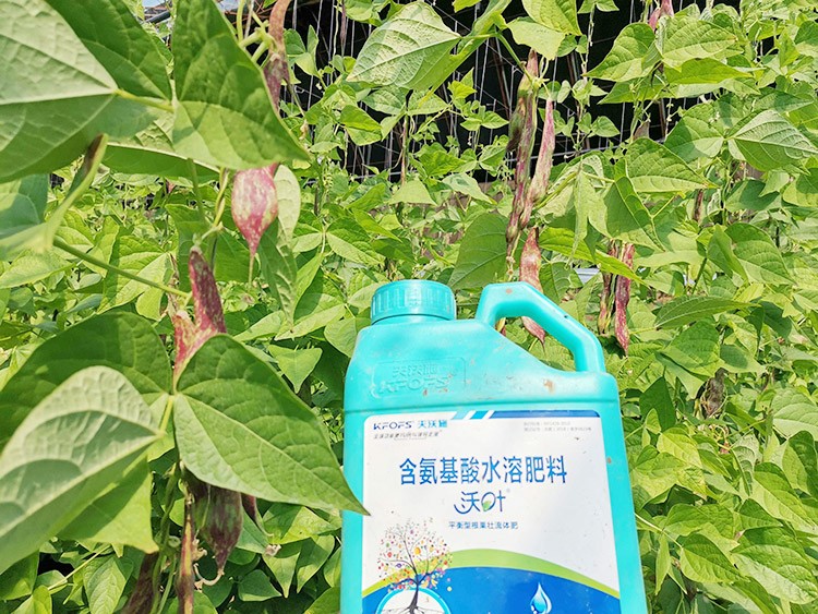 進(jìn)口水溶肥，懂行的人都這么選！