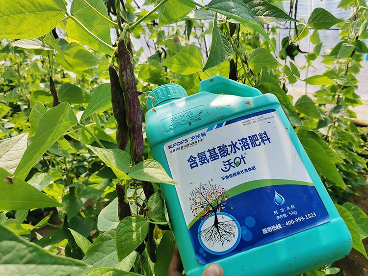 進(jìn)口水溶肥，懂行的人都這么選！