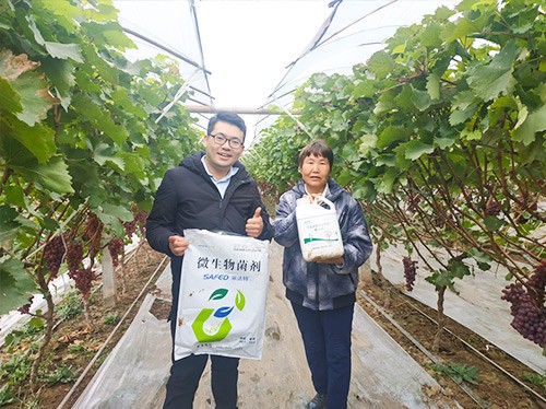 水溶肥廠家夫沃施都說(shuō)好？好在哪？