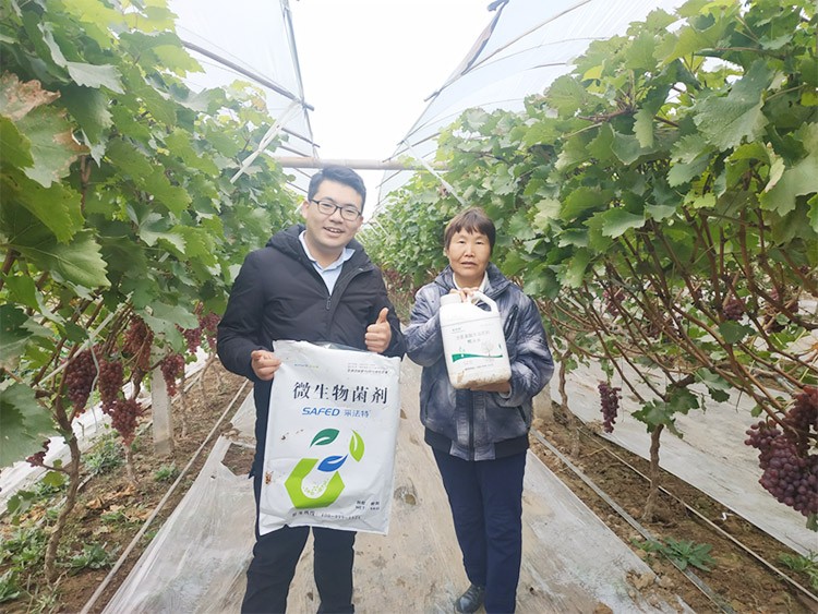 水溶肥廠家夫沃施都說好？好在哪？