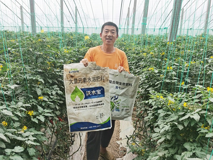 水溶肥廠家夫沃施都說好？好在哪？