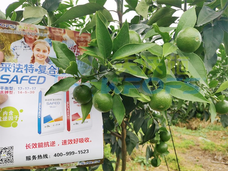 進口水溶肥怎么選？參考這三點就夠了！