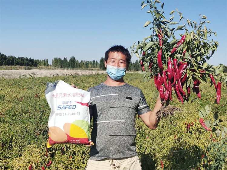 肥料廠家，有經(jīng)驗(yàn)的農(nóng)資人這樣選！