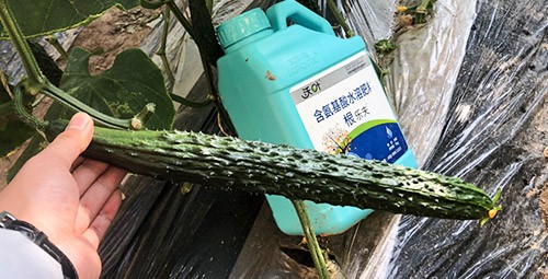 生根劑要安全不傷根，就選這個(gè)牌子！