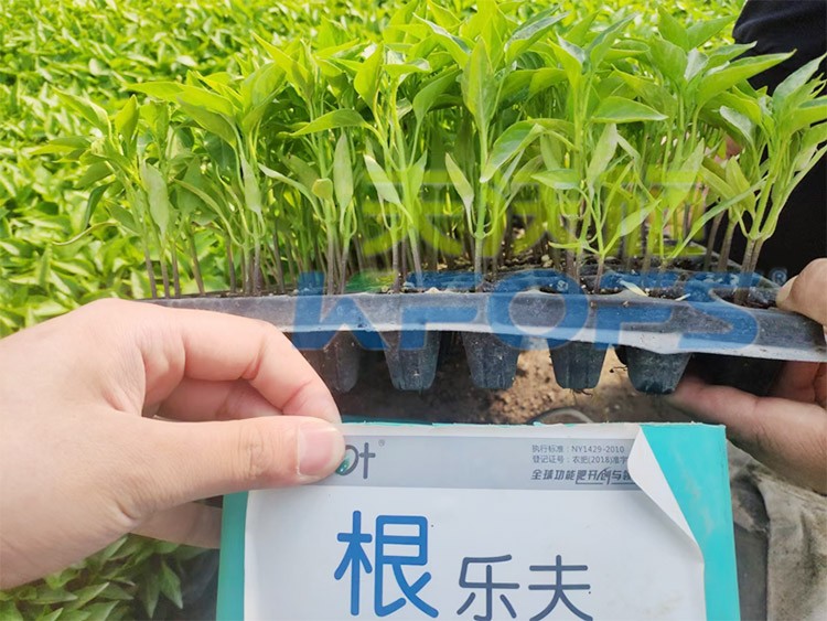 生根劑要安全不傷根，就選這個牌子！
