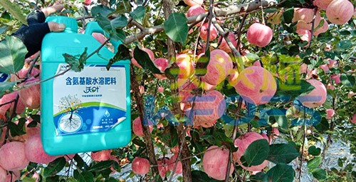 沖施肥怎么去沖施？什么牌子的好？