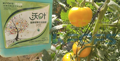 水溶肥的作用，不得不說(shuō)太強(qiáng)大了！