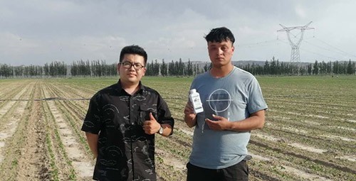 藥害還能恢復生長嗎？這篇告訴你！