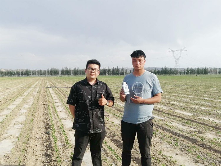 藥害還能恢復(fù)生長(zhǎng)嗎？這篇告訴你！
