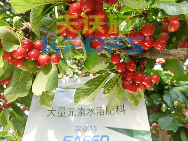 大量元素水溶肥為什么都說(shuō)進(jìn)口的好？