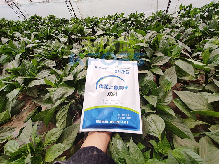 磷酸二氫鉀的正規(guī)廠家是什么樣的？