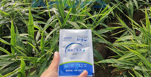 磷酸二氫鉀選這個(gè)品牌，不會(huì)錯(cuò)！