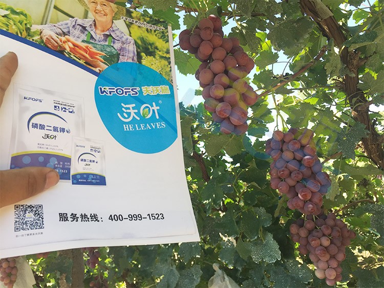 進口磷酸二氫鉀和國產(chǎn)有什么區(qū)別？