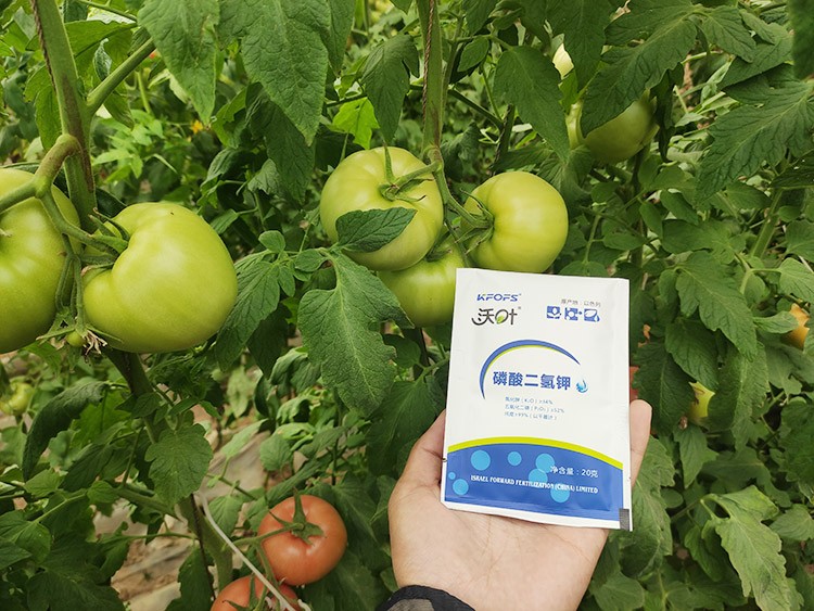 購(gòu)買(mǎi)磷酸二氫鉀要看哪幾點(diǎn)？
