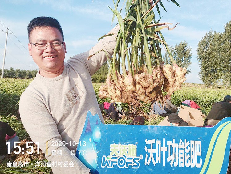 進(jìn)口水溶肥推薦你選沃葉，這就是原因！