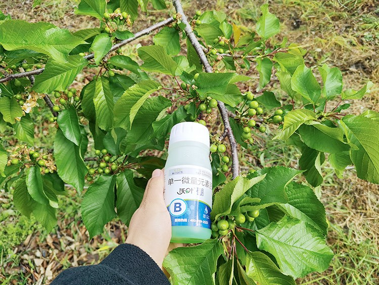 ?；ū９~面肥，她就認(rèn)準(zhǔn)這個牌子！