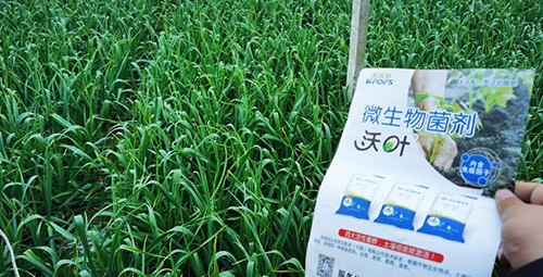 微生物菌劑選它，放心又舒心！