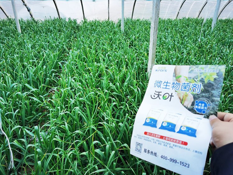 微生物菌劑選它，放心又舒心！