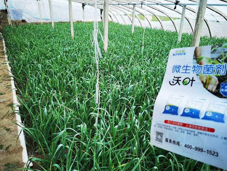 微生物菌劑選它，放心又舒心！