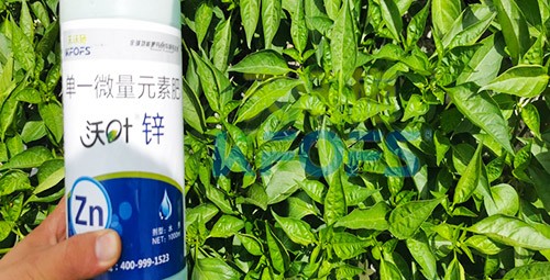 鋅肥是什么肥料？辣椒用有什么好處？