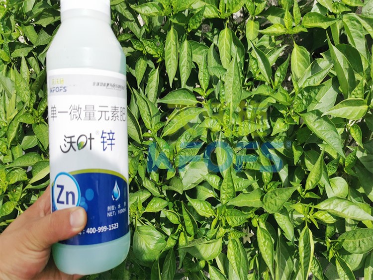 鋅肥是什么肥料？辣椒用有什么好處？