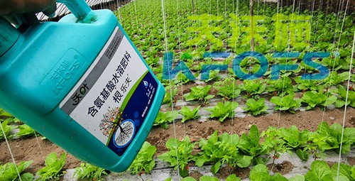 蔬菜用進(jìn)口水溶肥，有什么突出效果？