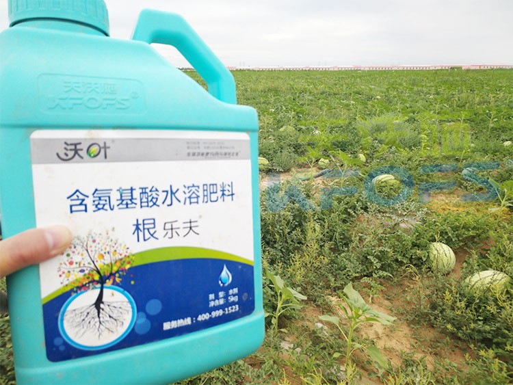西瓜用什么進(jìn)口水溶肥好？
