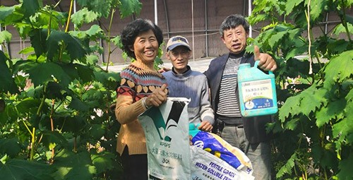 葡萄萌芽期管理技術在這里，值得收藏！