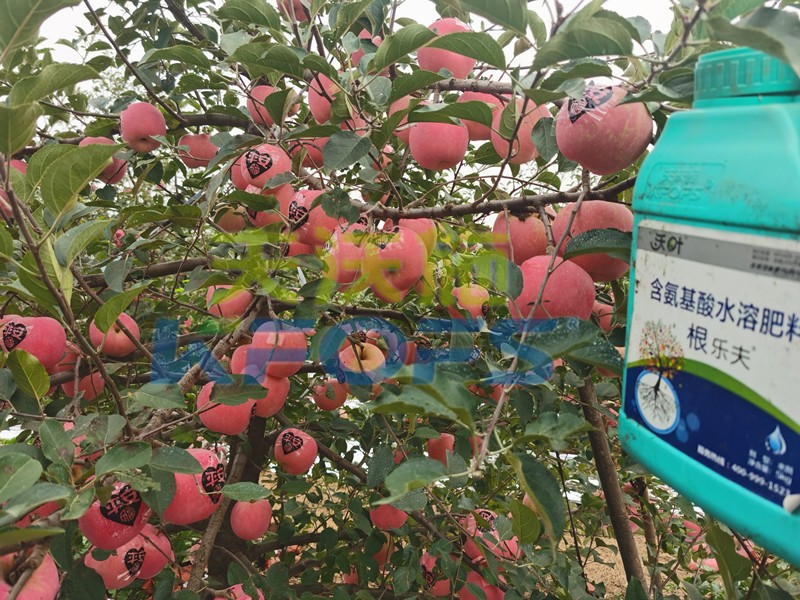 不要只關(guān)注水溶肥一袋多少錢(qián)，還有更重要的！