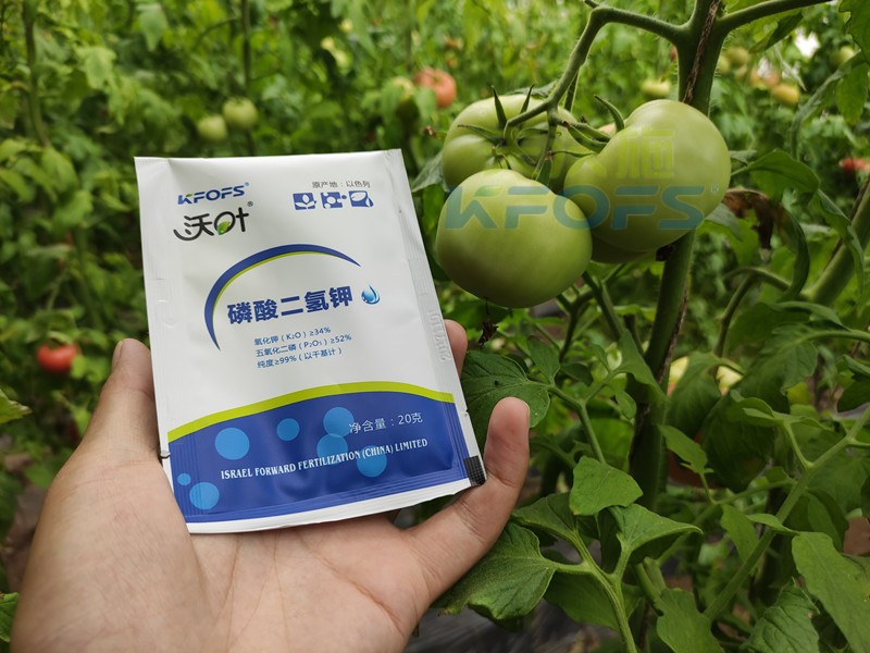 葉面肥磷酸二氫鉀，竟然這么好用！