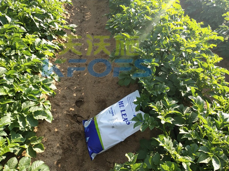 8年種植經(jīng)驗(yàn)老農(nóng)說，種土豆用什么肥料好！