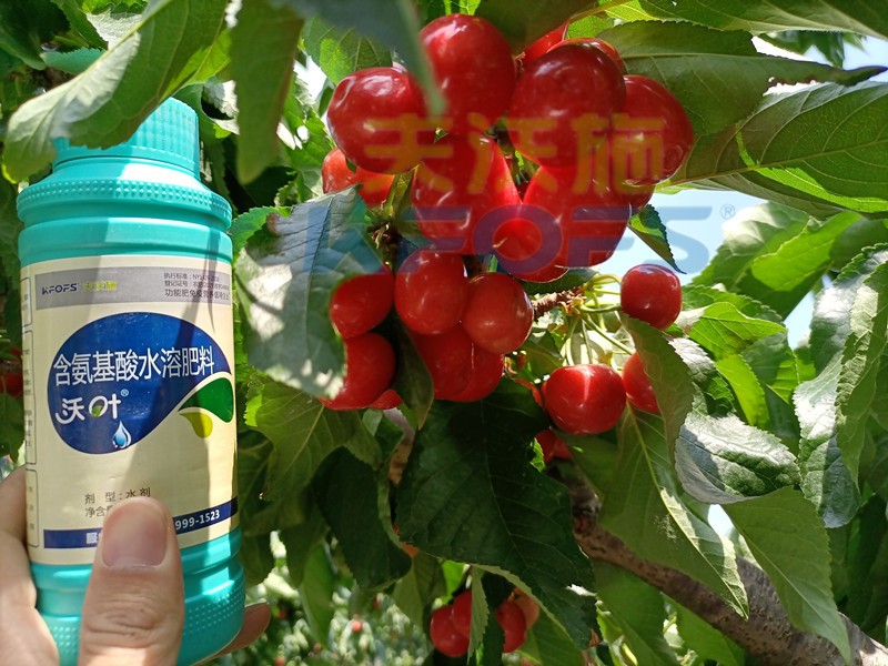 這款水溶肥，種植戶都愿意長期使用！