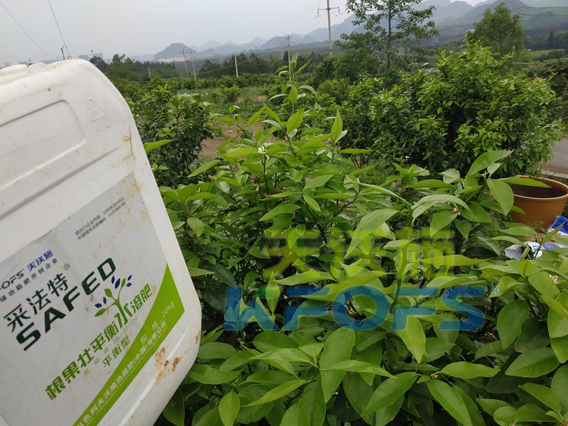 水溶肥的合理價格究竟如何判斷？這幾點很重要！