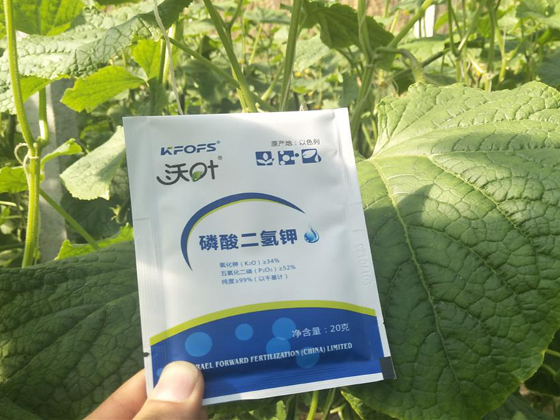 夫沃施離子磷酸二氫鉀，效果看得見！
