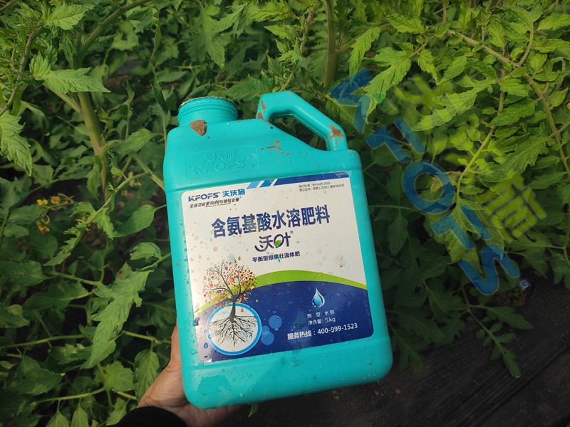 水溶肥的合理價(jià)格是多少？聽(tīng)聽(tīng)種植戶怎么說(shuō)