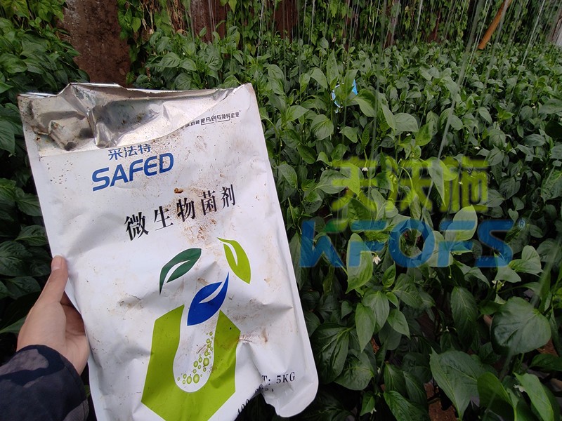 微生物菌劑，你不知道的秘密在這里！