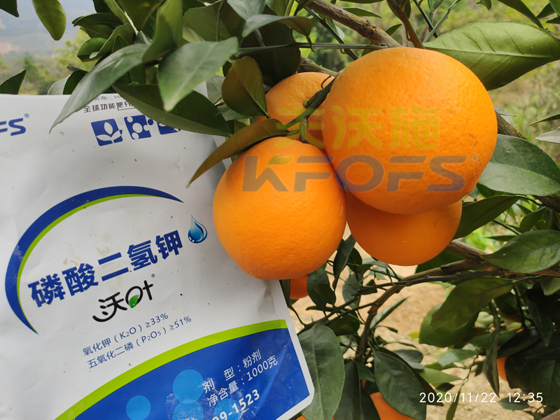 水溶肥市場(chǎng)雜亂無(wú)章，種植朋友該選什么樣的產(chǎn)品？