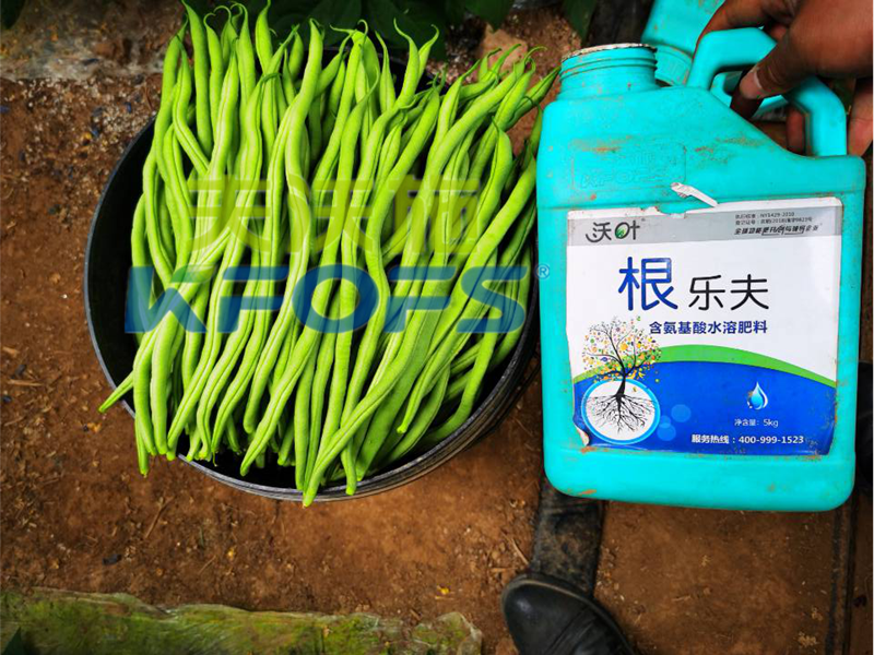 豆角用什么肥料產(chǎn)量高？效益好？