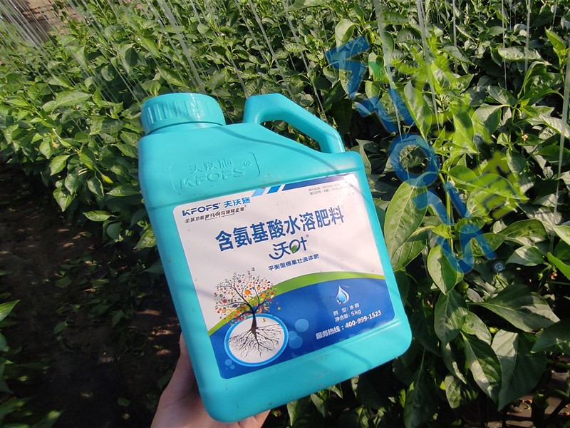 水溶肥與沖施肥有什么區(qū)別？
