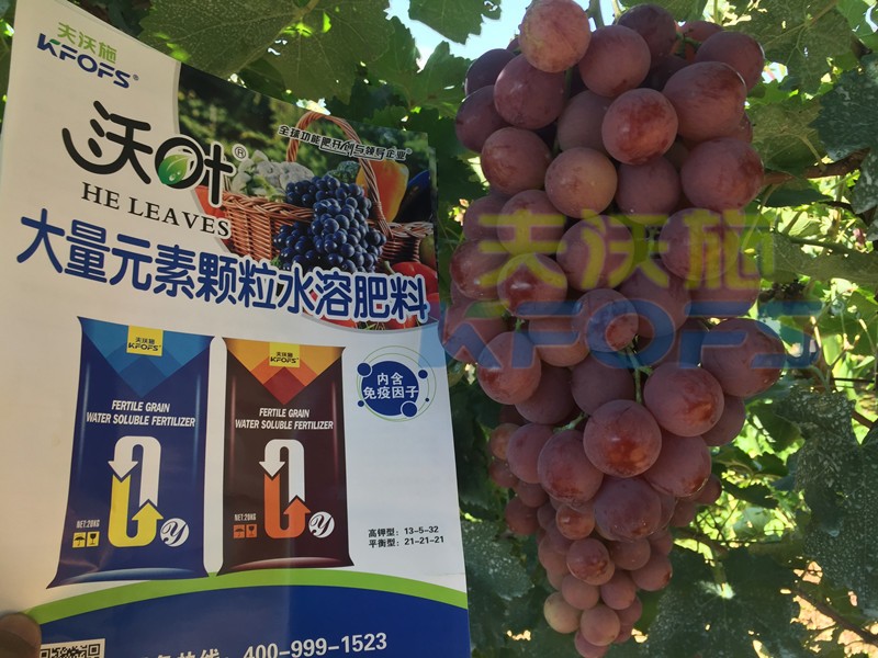 果樹沖施肥怎么樣沖，才能有好效果呢？