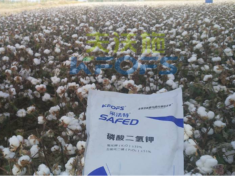 水溶肥哪家好？楊老板說他只信賴采法特！